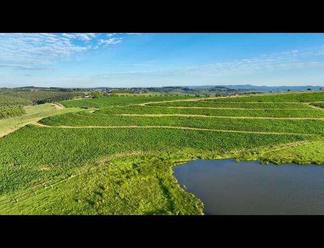 LAND FOR SALE IN MOUNT VERDE